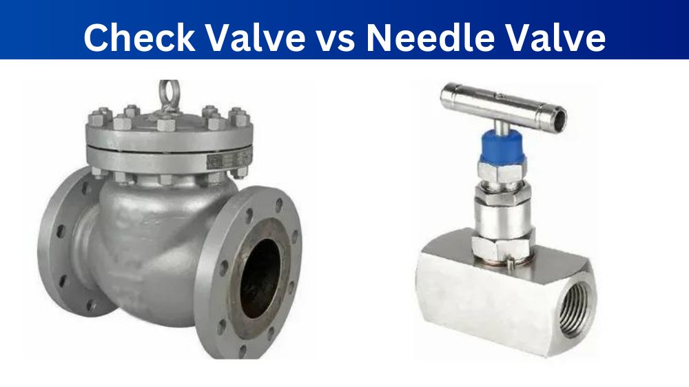 Check Valve vs Needle Valve